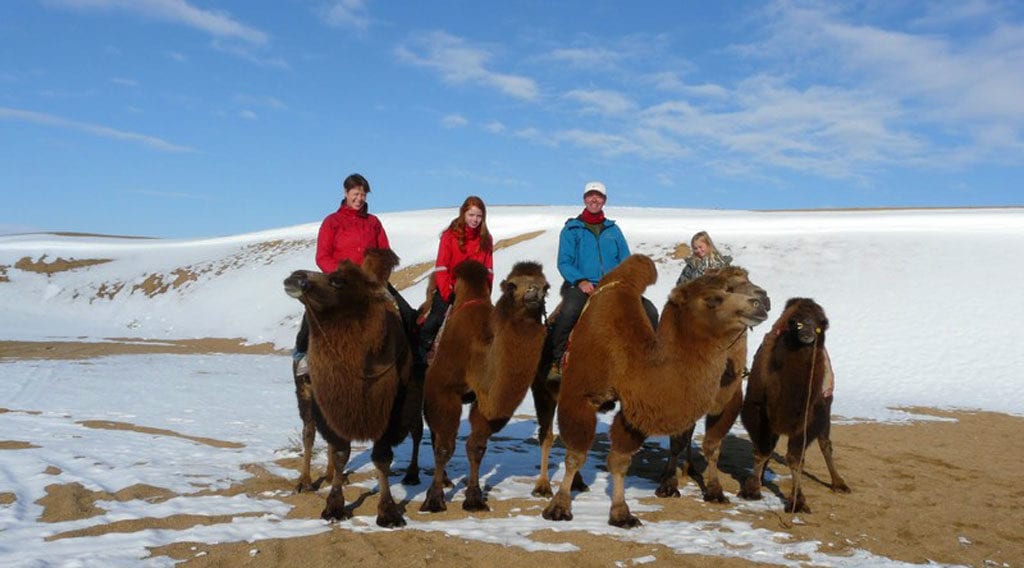 Mongolia Family Holiday Camels
