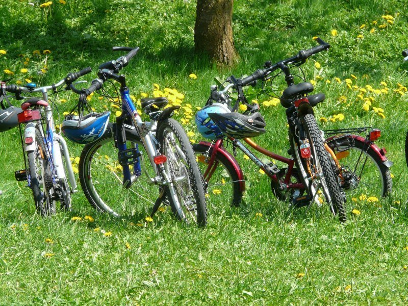 Tips for Planning Cycling Holiday with Kids