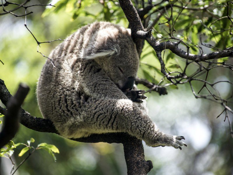 10 Family Nature Escapes in NSW Australia