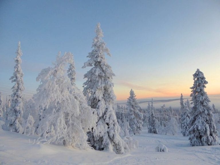 How to plan the perfect trip to Lapland with kids - Globetotting