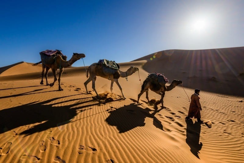 5 best places to visit in morocco with kids