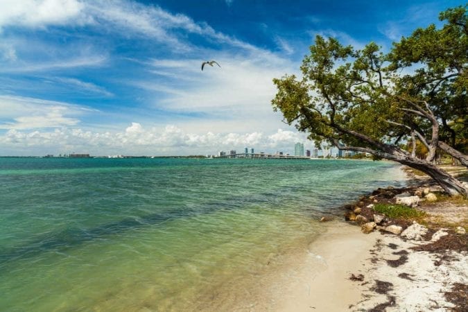 The 7 best beaches in Miami for families - Globetotting