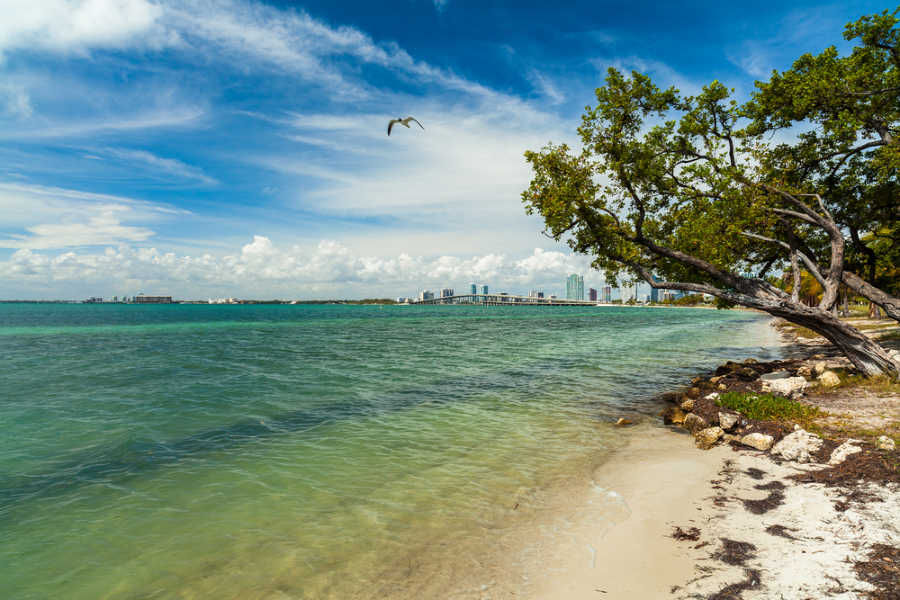 best beaches in miami for families