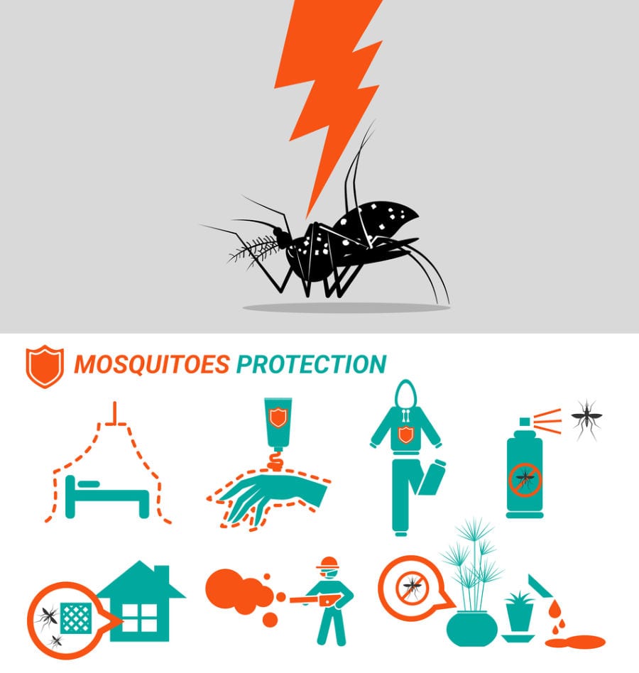 Prevent Dengue