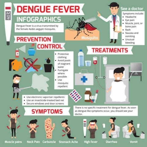 Top Tips For Avoiding Dengue Fever - Globetotting.com