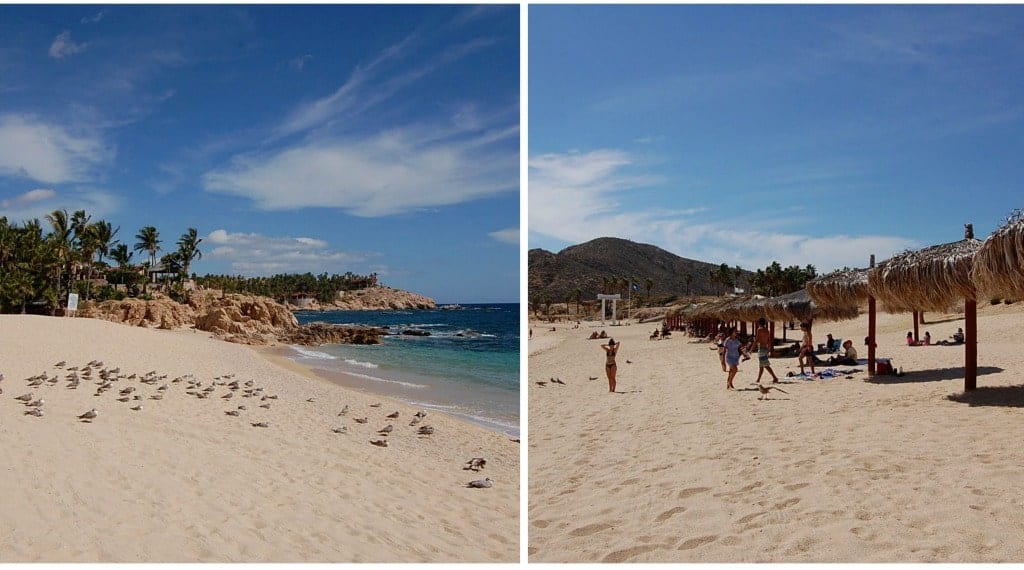 things to do in Cabo with kids