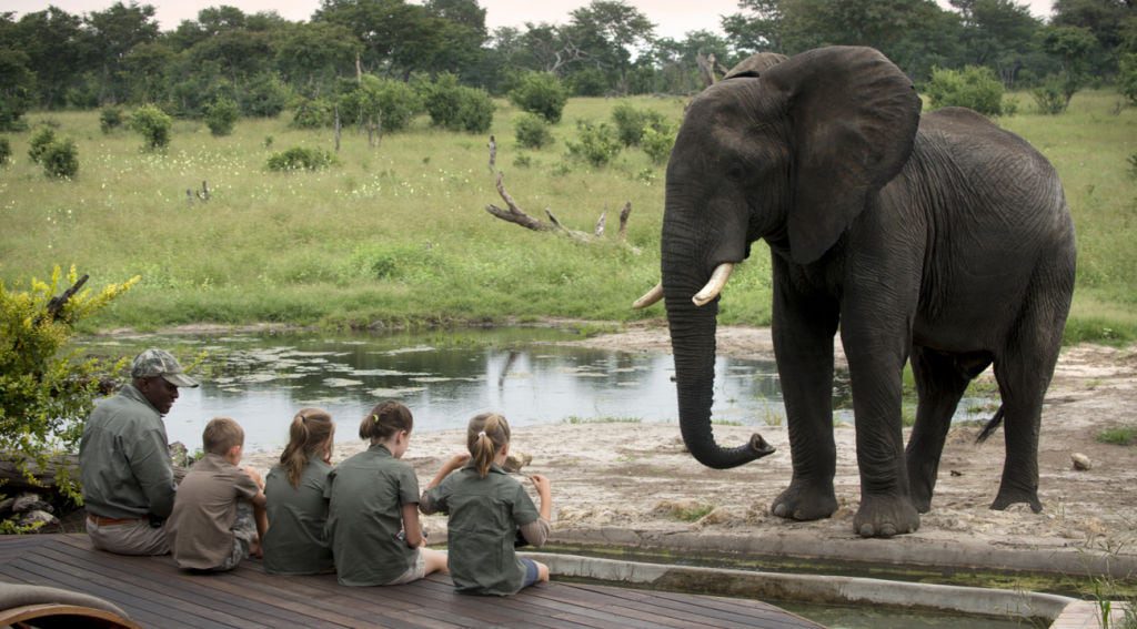 Africa safari with kids