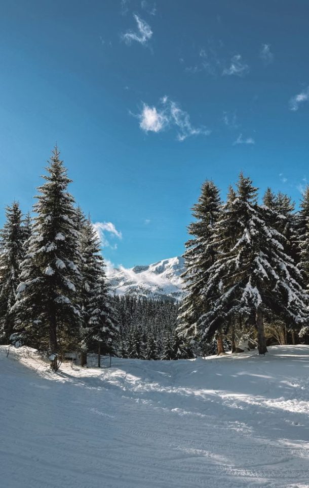 How to plan the perfect Méribel family ski holiday Globetotting