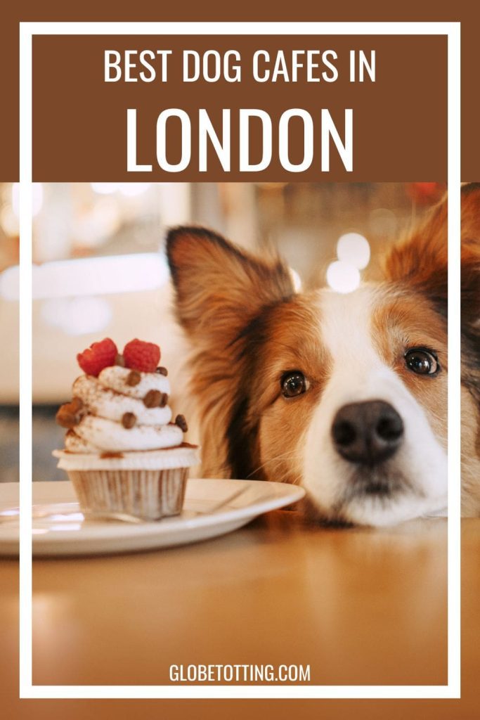 best dog cafe London