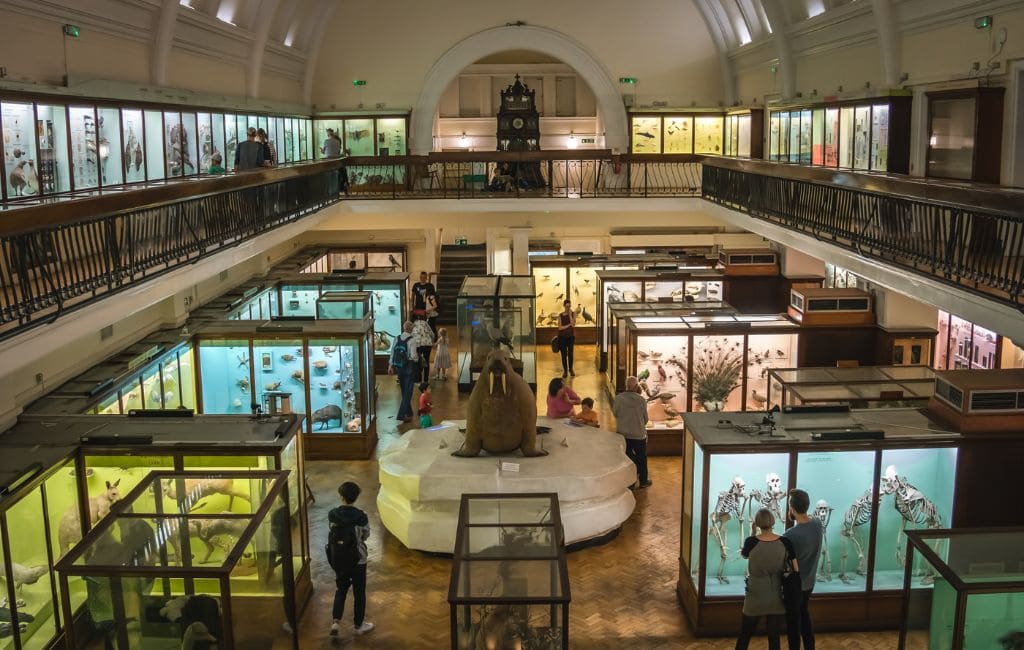 21 of the most wonderful and weird museums in London