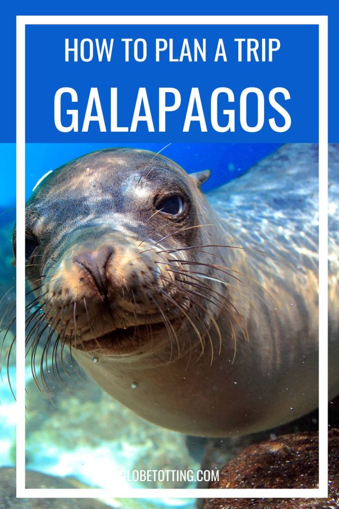 Planning a trip to the Galápagos Islands