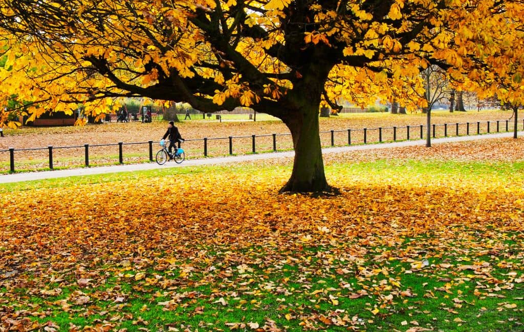 October half term in London
