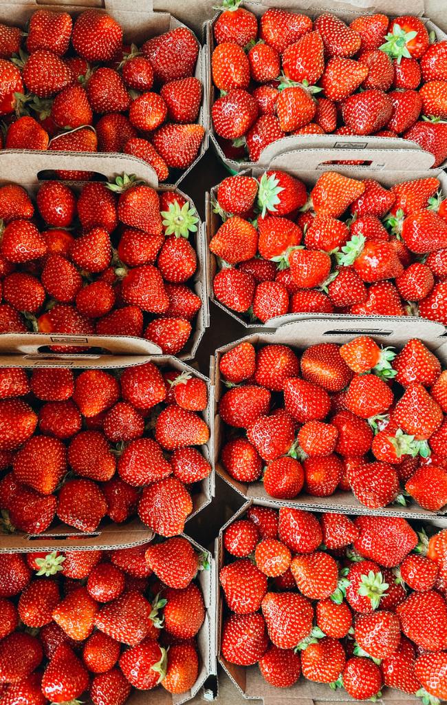 3 days in Quebec City