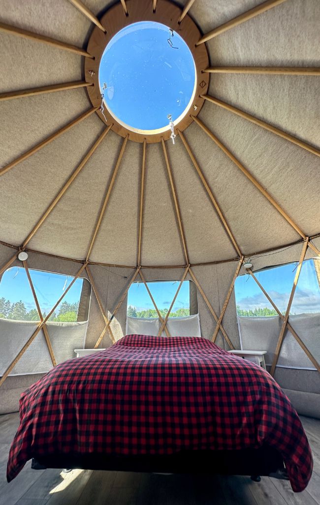 Yurts in the vineyard