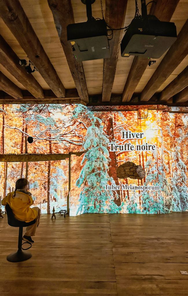 Road trip in the Dordogne