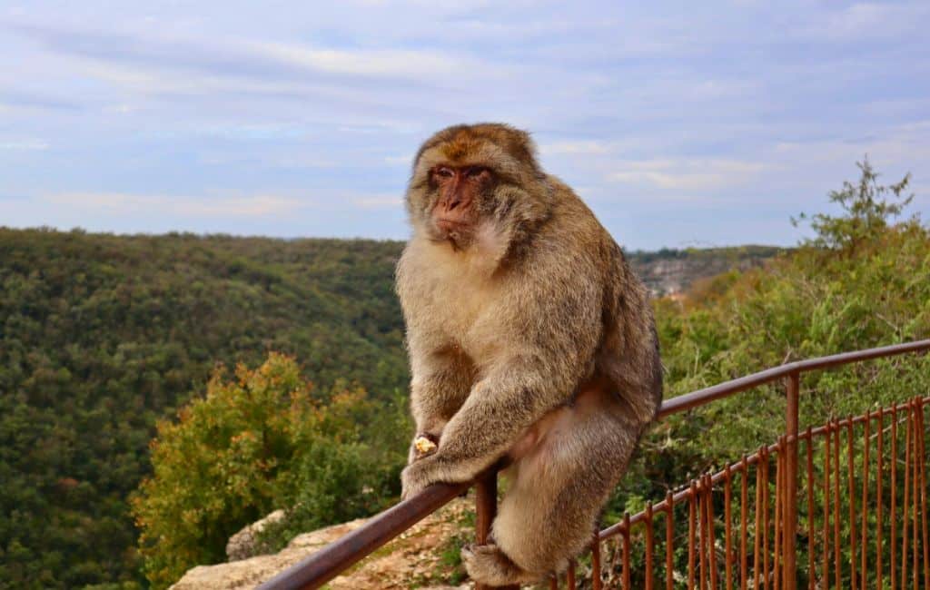Road trip in the Dordogne