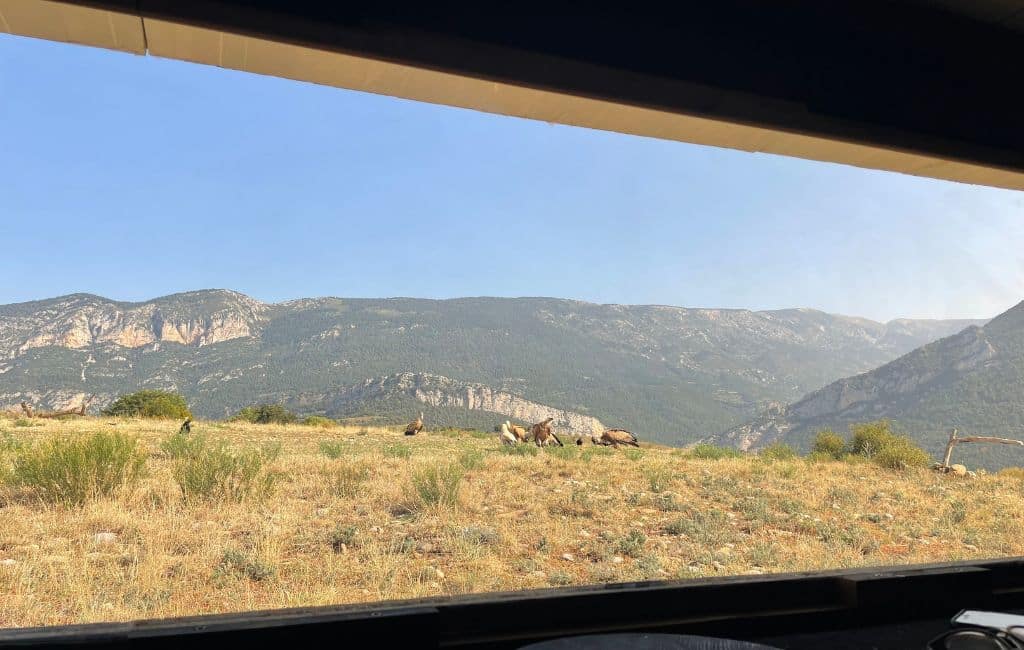 forest Days glamping Catalonia Spain