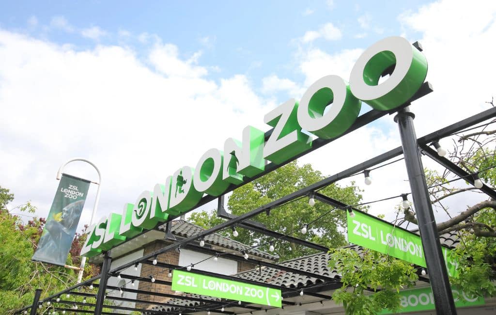 London zoo Deposit photos
