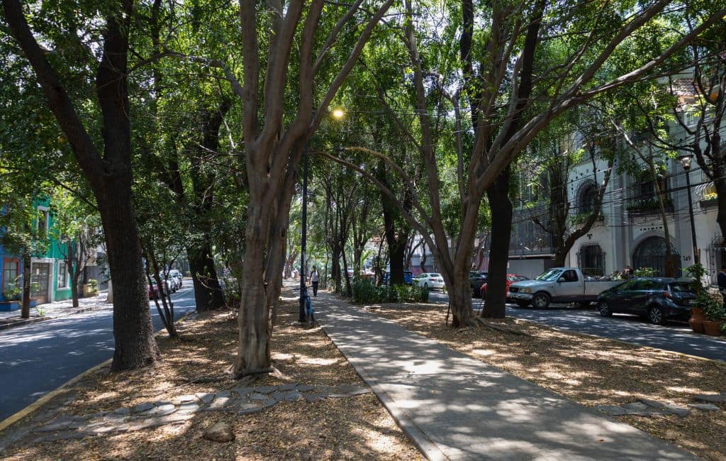 One week in Mexico City Depositphotos.com