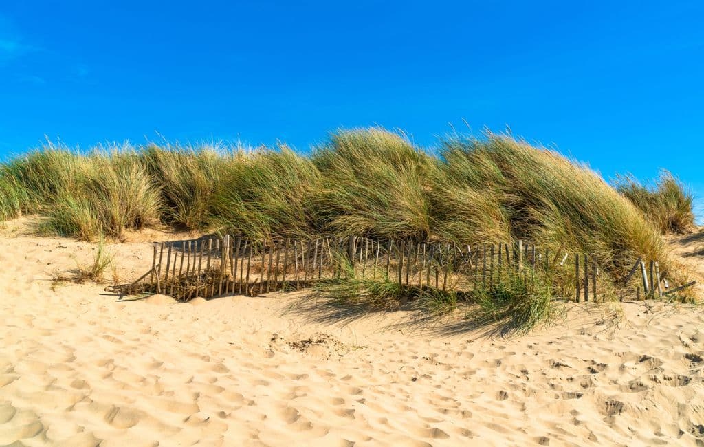 Camber Sands Deposit Photos
Beaches near London 