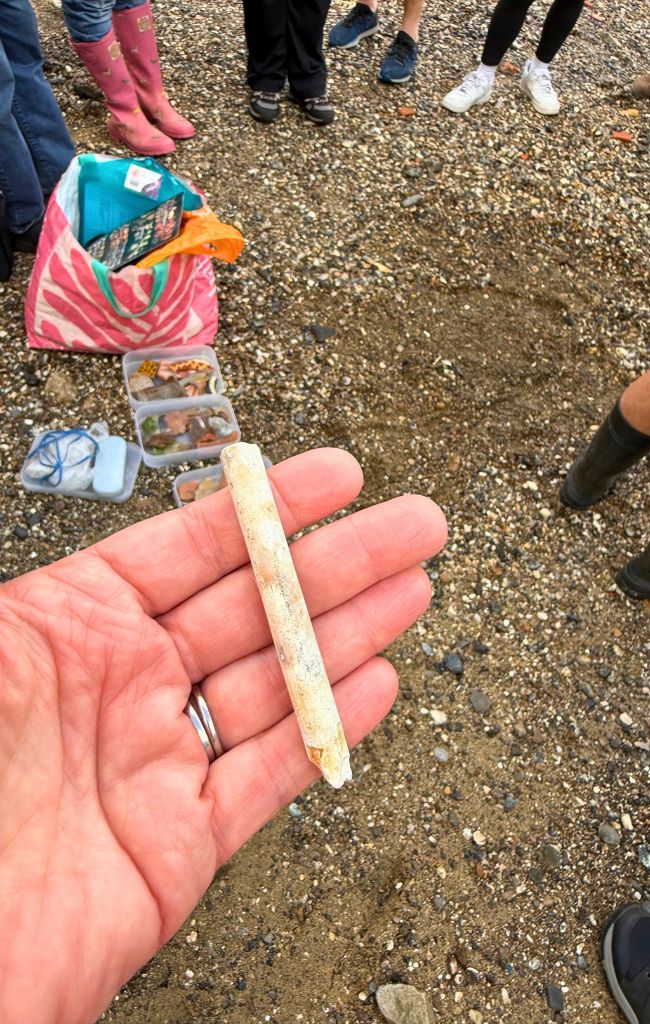 a Victorian pipe stem: mudlarking in London
