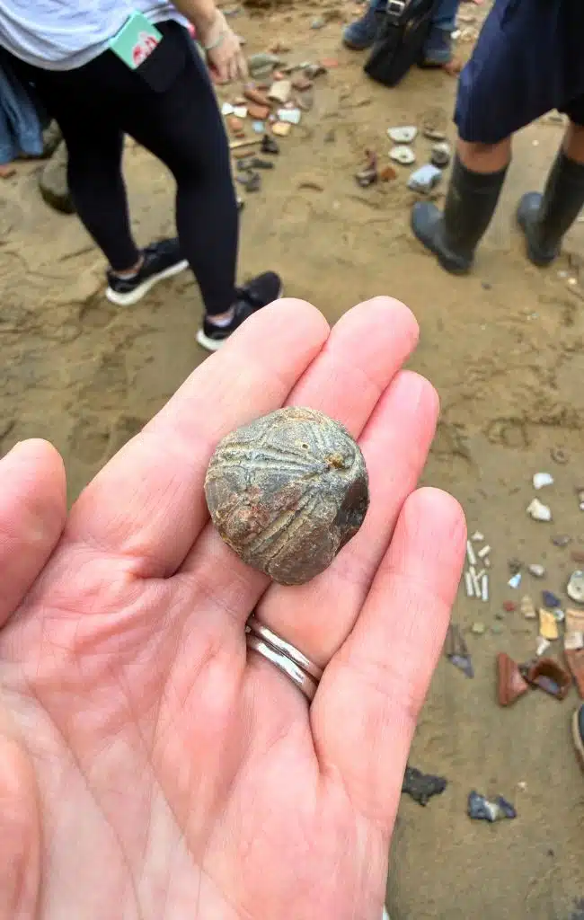 a fossilised sea urchin found mudlarking in London