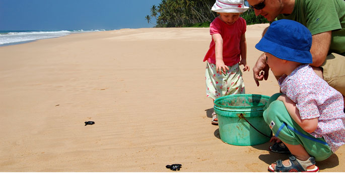  Releasing baby turtles into the ocean, Sri Lanka